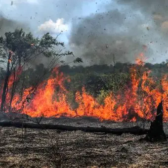 2024 se tornará o primeiro ano com temperatura 1,5ºc acima da média em todos os meses