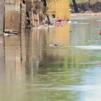 Rio Grande do Sul enfrenta novos alagamentos e Defesa Civil registra mais de 29 mil afetados