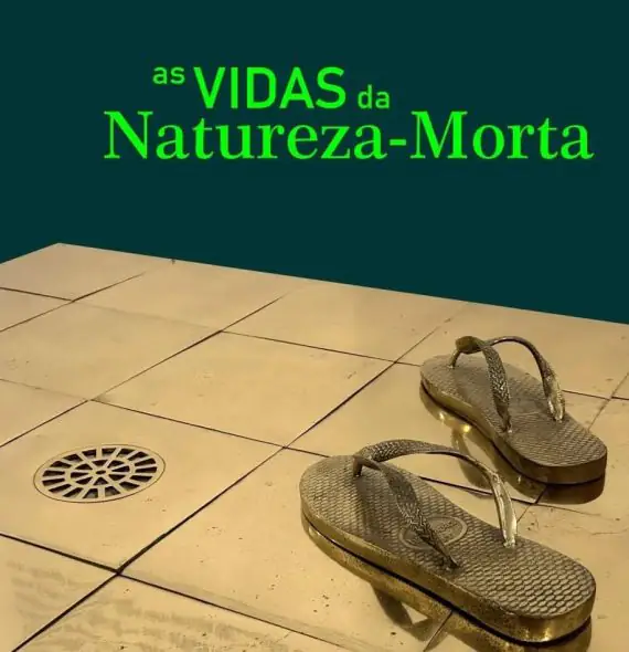 NOVA EXPOSIÇÃO “As Vidas da Natureza-Morta” abre a programação de exposições 2024 do Museu Afro Brasil Emanoel Araujo