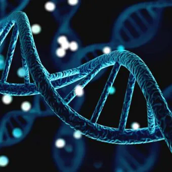 Cientistas descobrem que DNA africano foi excluído do mapa genético global