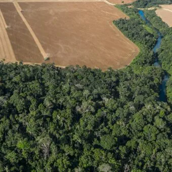 Câmara aprova mudança no licenciamento ambiental e os mais prejudicados são os povos originários