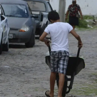 Justiça condena governo de São Paulo por fomentar trabalho infantil em escolas estaduais